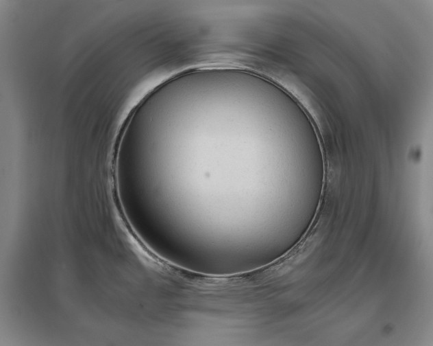 X0000096941485200802221309