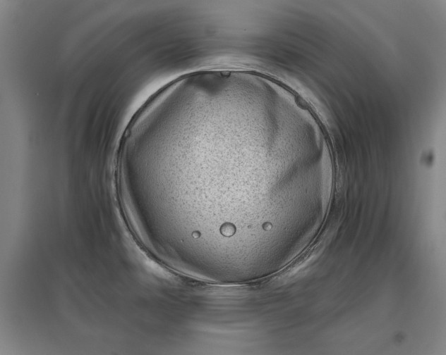 X0000096941486200802221309