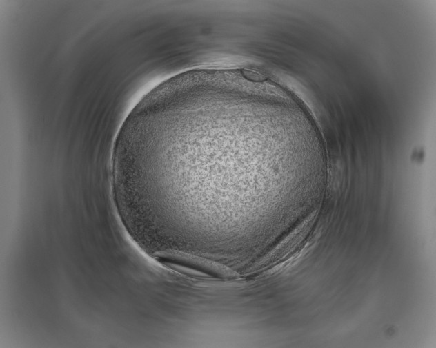 X0000096941487200802221309