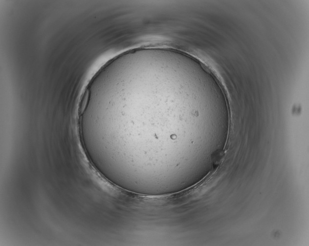 X0000096941488200802221309