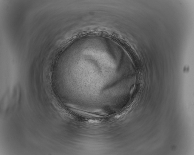 X0000096941489200802221308