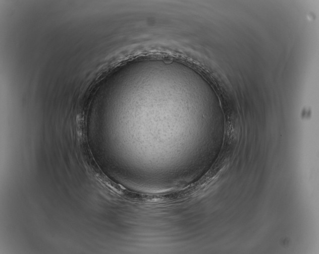 X0000096941490200802221308