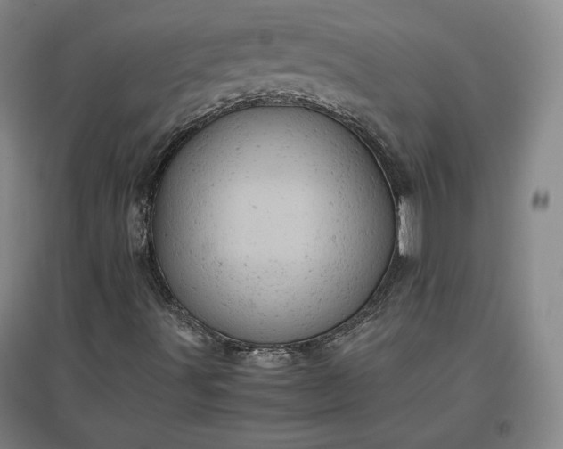 X0000096941491200802221308