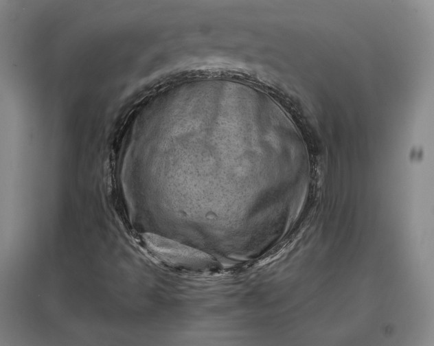 X0000096941493200802221308