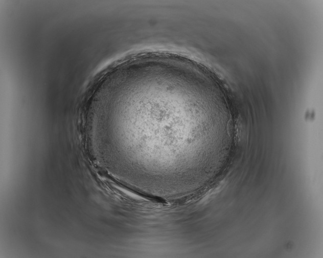 X0000096941494200802221308