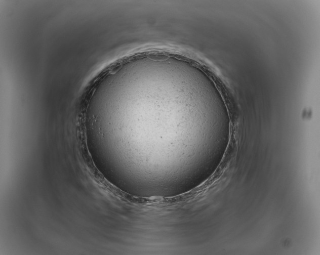 X0000096941496200802221308