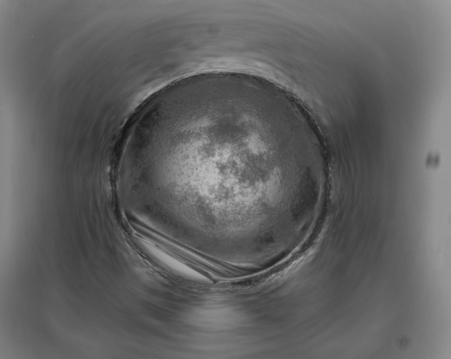 X0000096941497200802221308