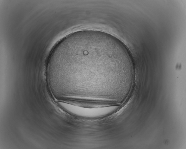 X0000096941498200802221308