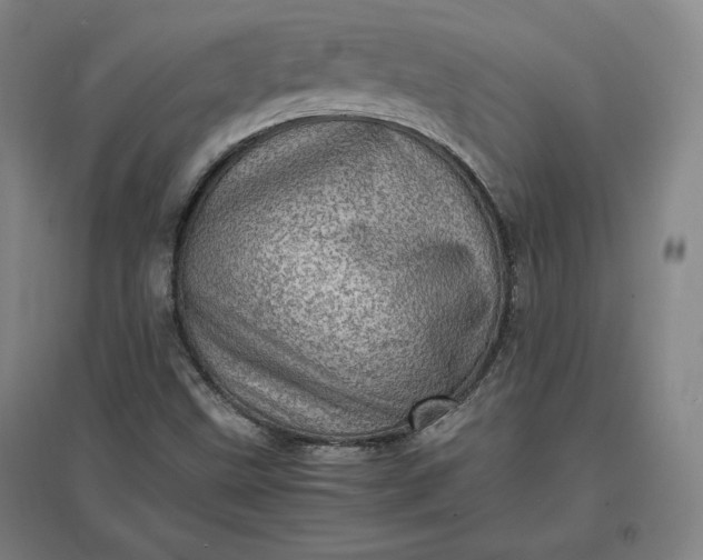 X0000096941499200802221308