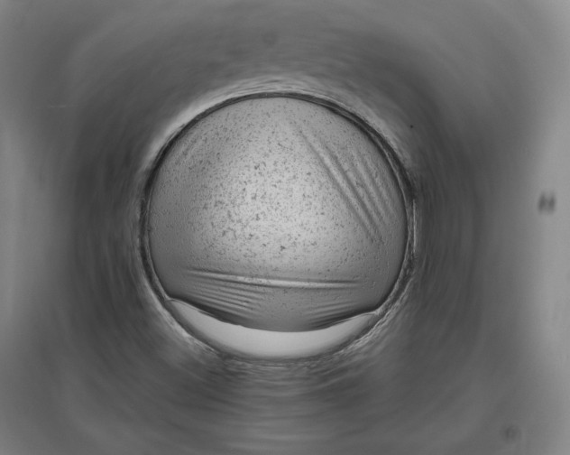 X0000096941500200802221308