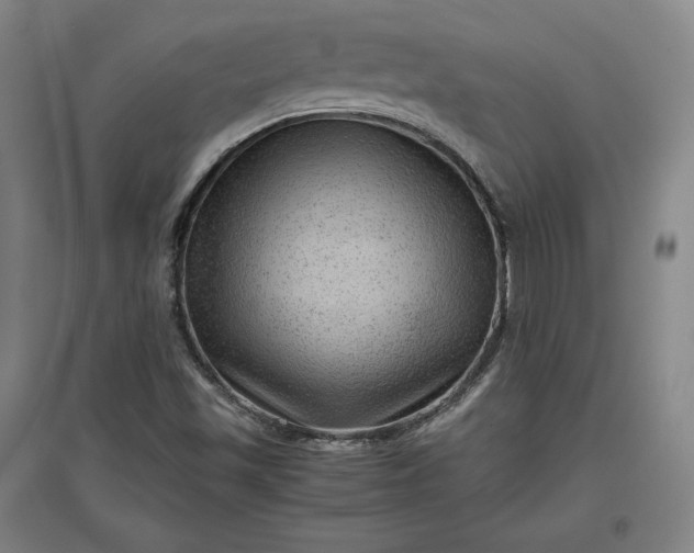 X0000096941501200802221308