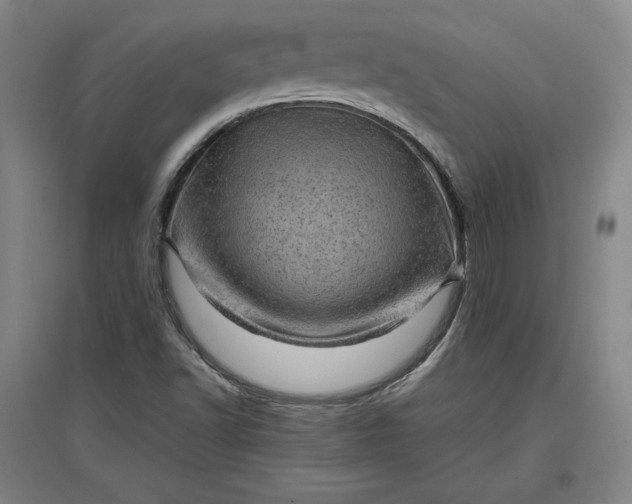 X0000096941502200802221308