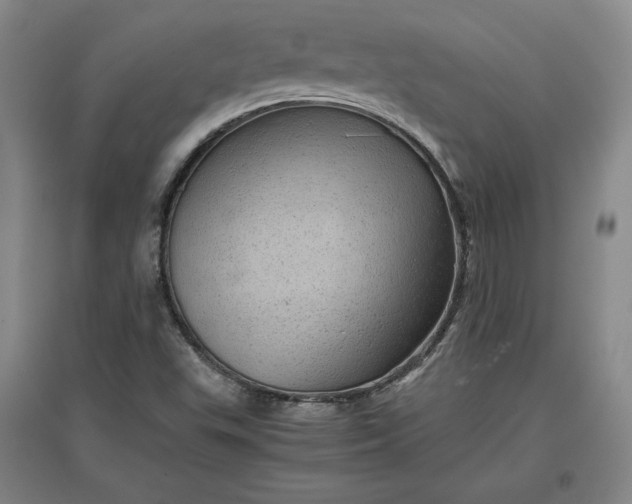 X0000096941503200802221308