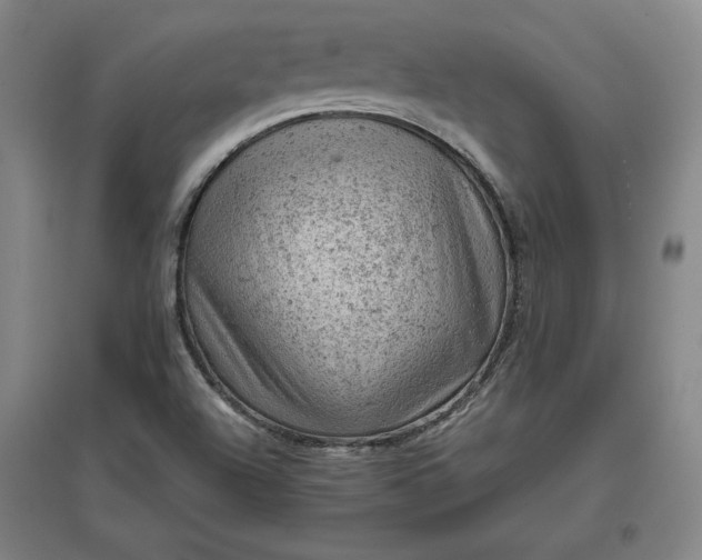 X0000096941504200802221308