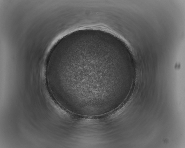 X0000096941506200802221308