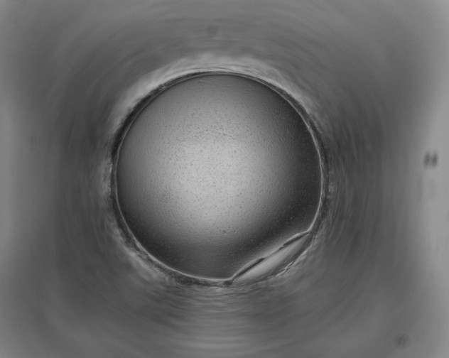 X0000096941507200802221308