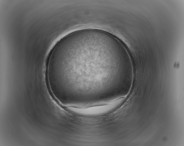 X0000096941508200802221308