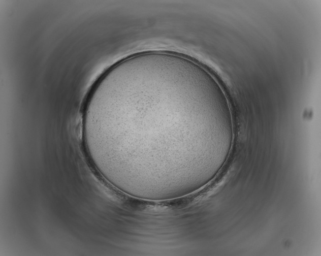 X0000096941509200802221308