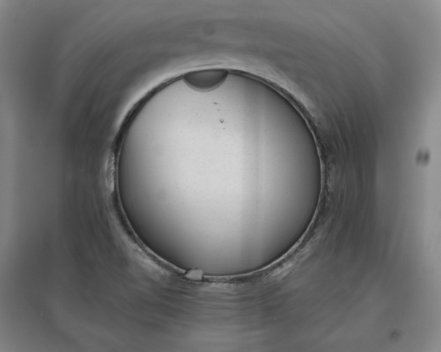 X0000096941510200802221308