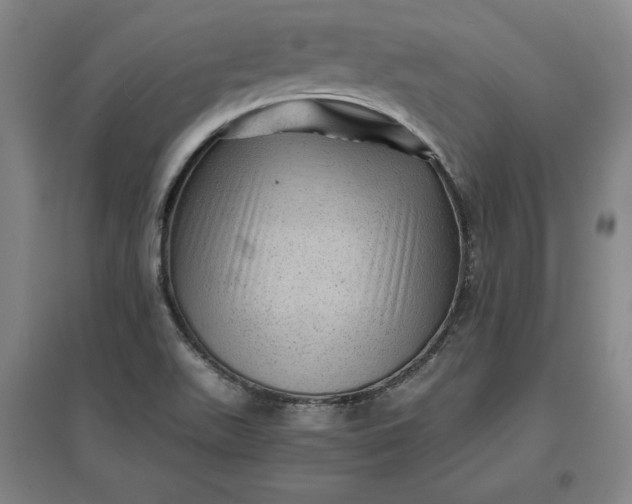 X0000096941511200802221308