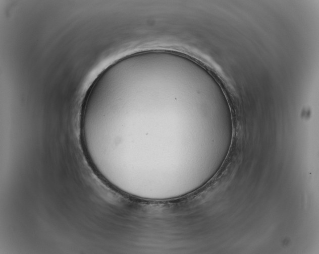 X0000096941512200802221308