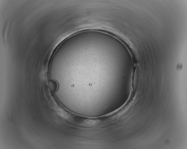 X0000096941513200802221308