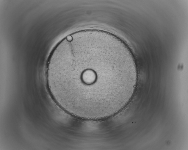 X0000096941514200802221308