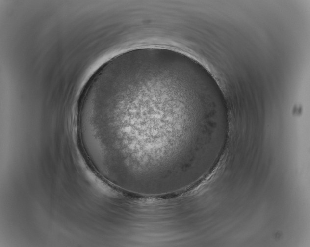 X0000096941515200802221308