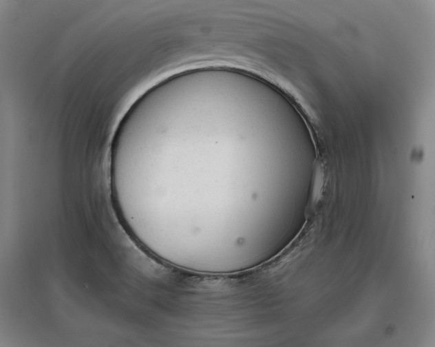 X0000096941516200802221308