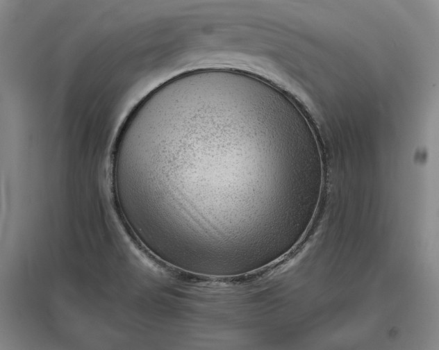 X0000096941517200802221308