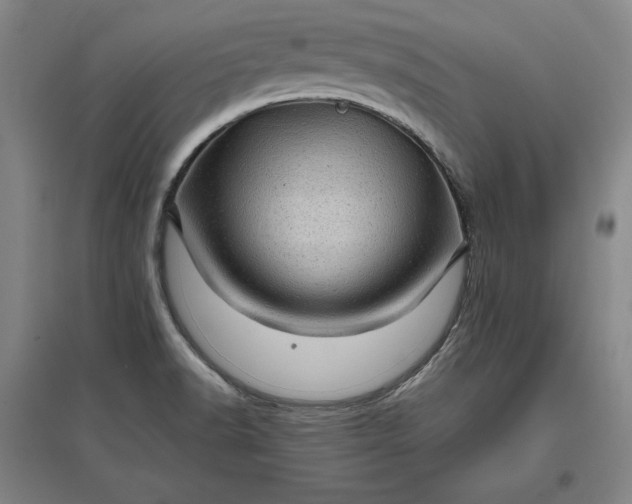 X0000096941518200802221308