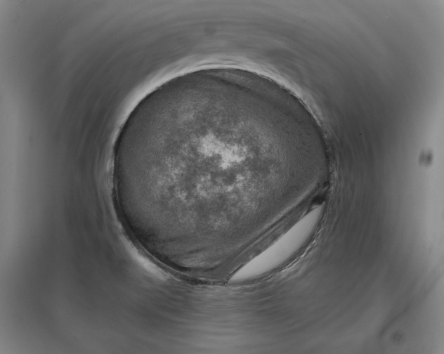 X0000096941519200802221308