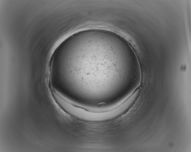 X0000096941520200802221308