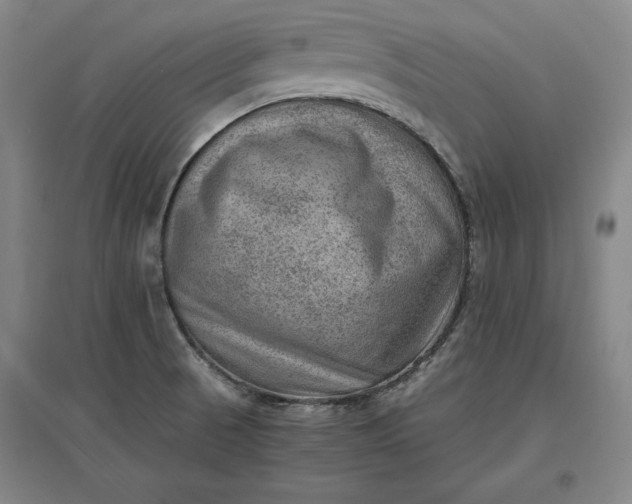 X0000096941521200802221308