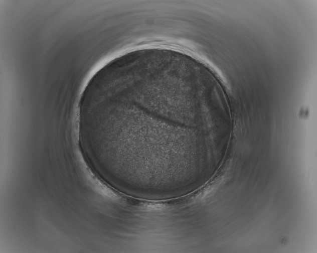 X0000096941522200802221308