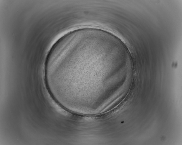 X0000096941523200802221308