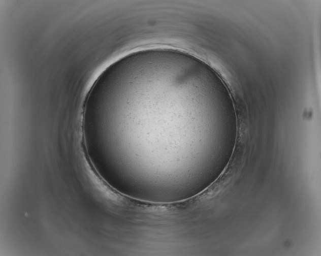 X0000096941524200802221308