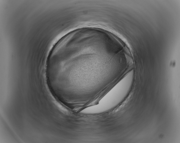 X0000096941525200802221308