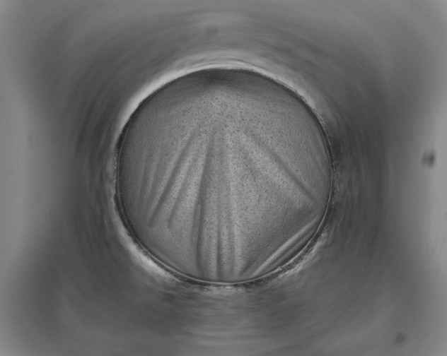 X0000096941526200802221308