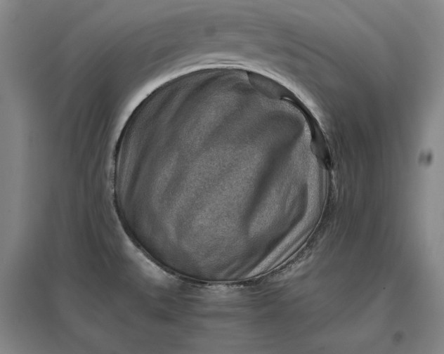 X0000096941527200802221308