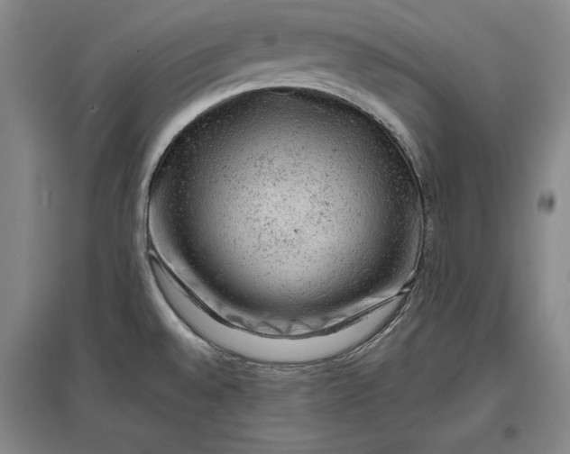 X0000096941528200802221308