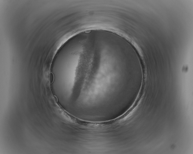 X0000096941529200802221308