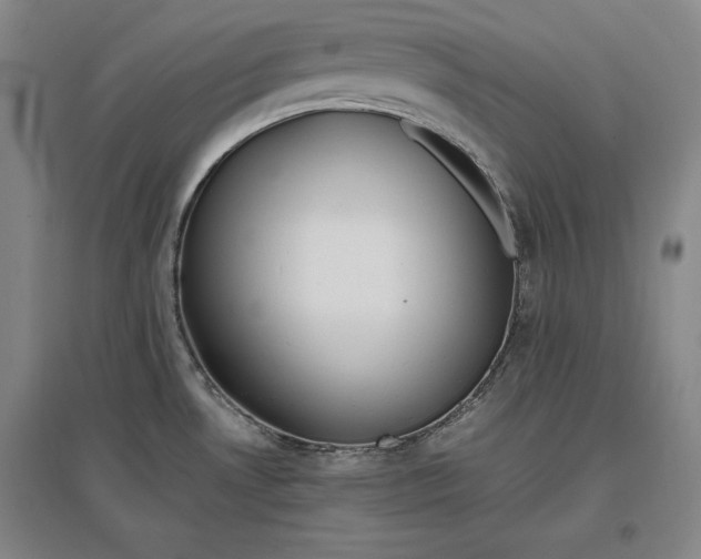 X0000096941530200802221309