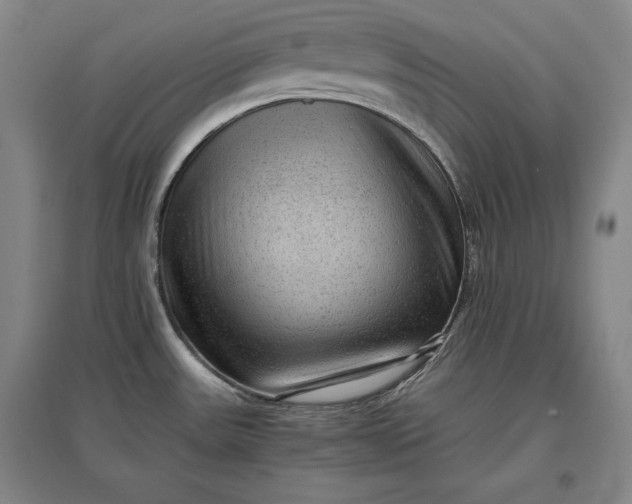 X0000096941531200802221309