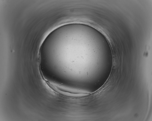 X0000096941532200802221309