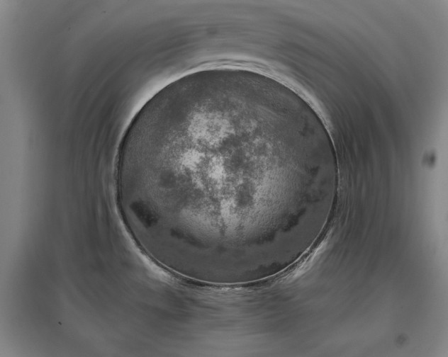 X0000096941533200802221309