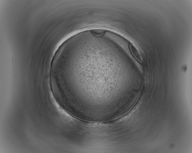 X0000096941534200802221309