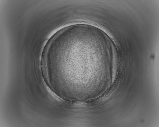 X0000096941535200802221309