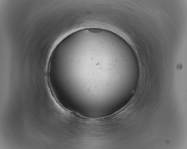 X0000096941536200802221309