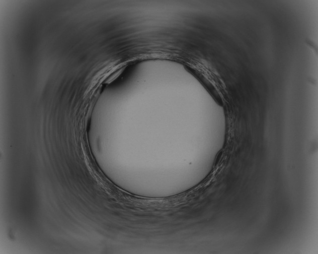 X0000096940001200802291044